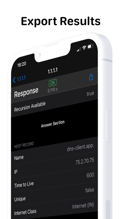 DNS Client screenshot-4