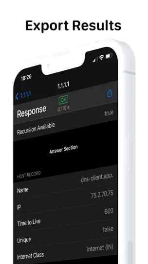 Capture d'écran de DNS Client sur iPhone 5