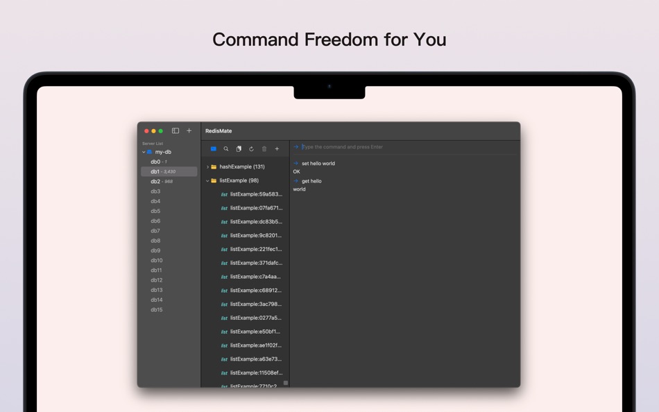 #5. RedisMate (macOS) 게시자: 鸿呈 吉