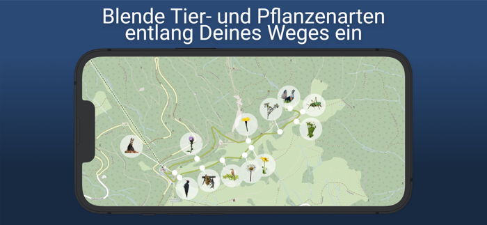 Schauinsland Barrierefrei