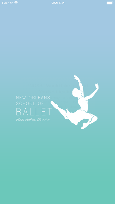 New Orleans School of Ballet Screenshot