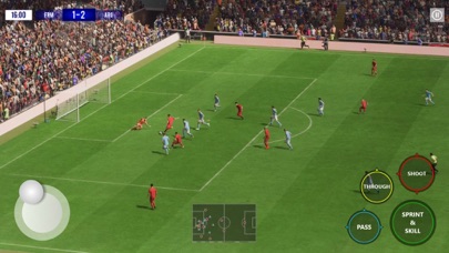 Footballer Pro Screenshot