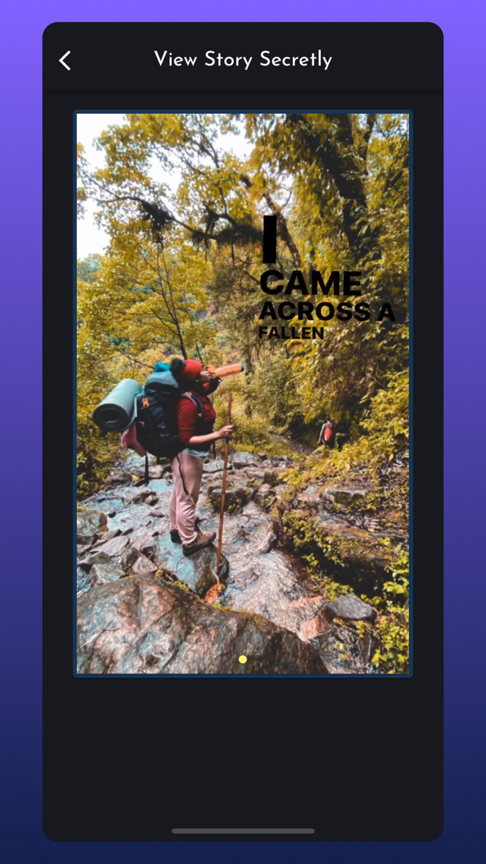 FaceSave Video Story Reels