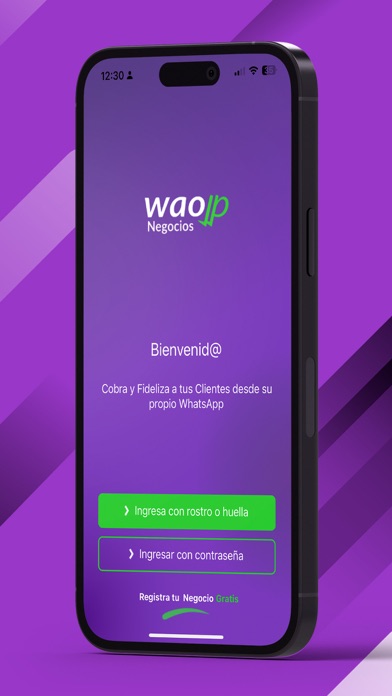 Negocios WAOPay Screenshot
