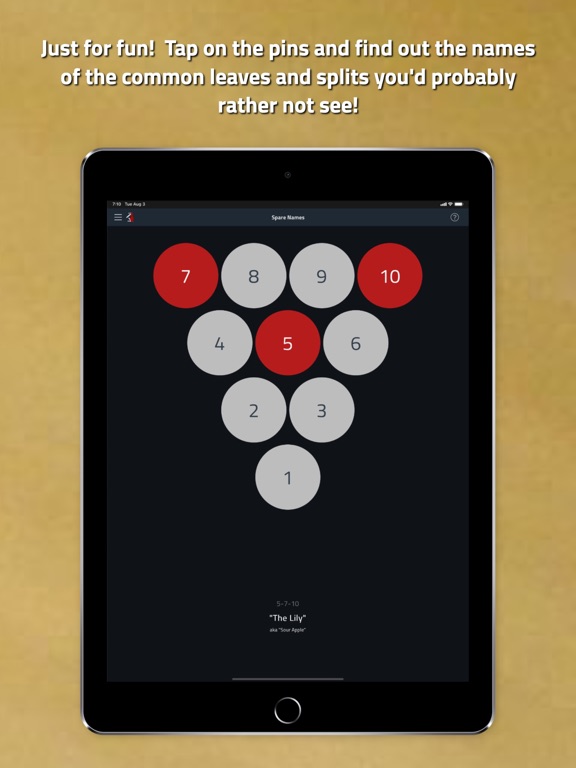 Tenpin Toolkit: Bowling Tools iPad screenshot 10 - Sports app
