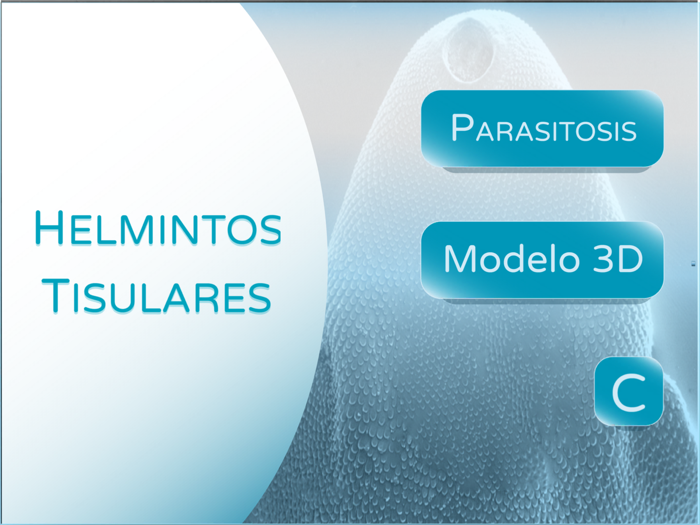 Parásitos sistémicos