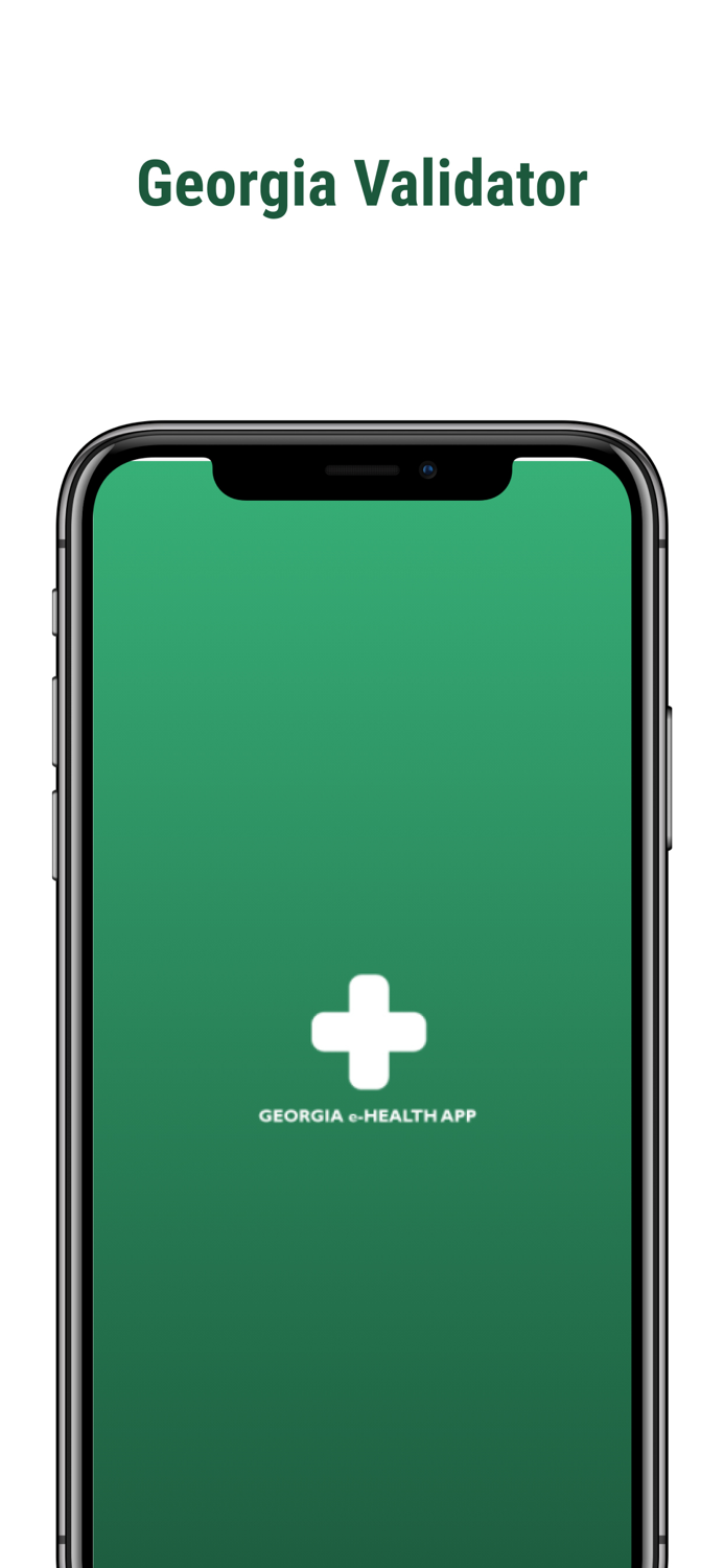 Georgia Validator