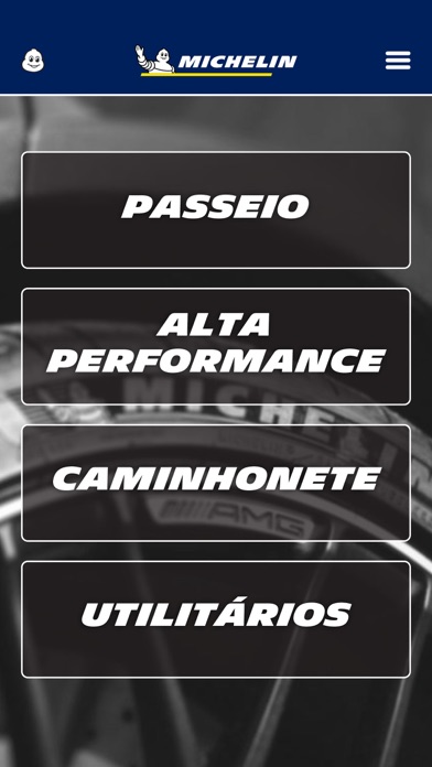 Oferta Michelin Screenshot
