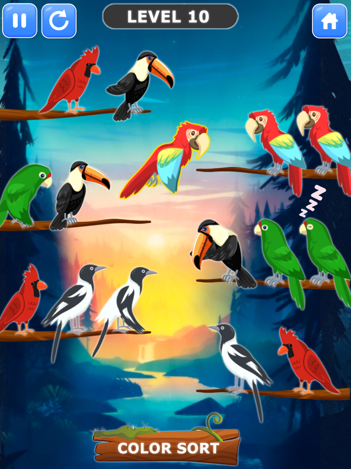 Bird Sort Color Puzzle Games