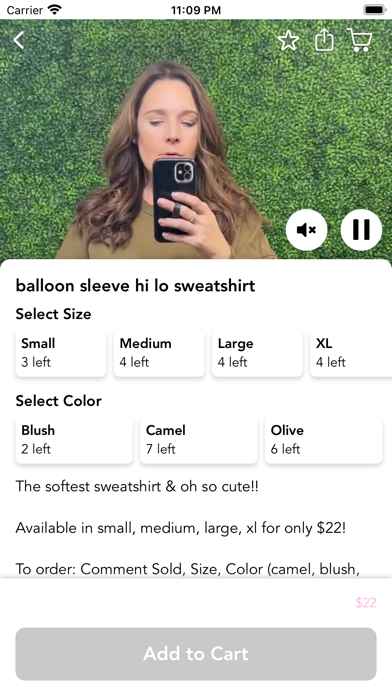 Swanky Steals Screenshot