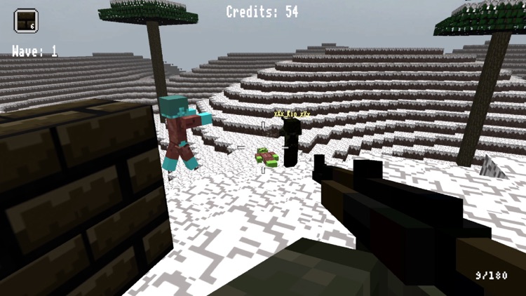Block Warfare Zombies screenshot-4