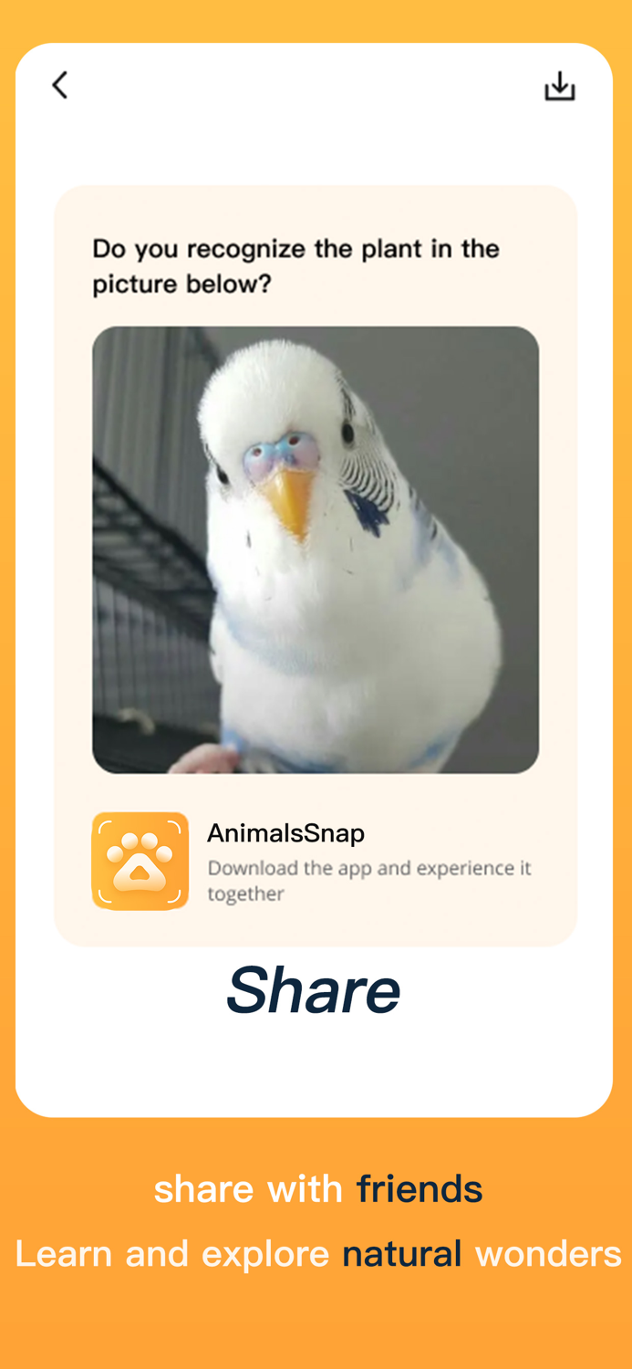 AnimalsSnap-Animal Identifier