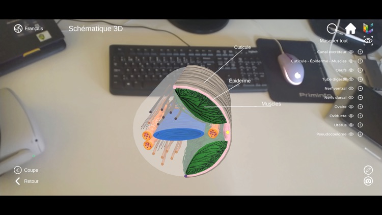 Morflab : Mussel & Ascaris screenshot-6