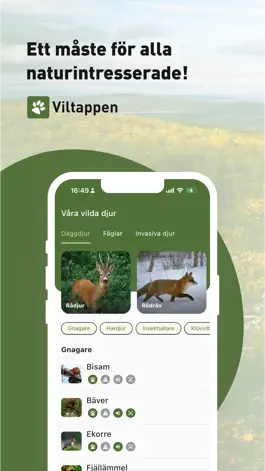 Game screenshot Viltappen mod apk