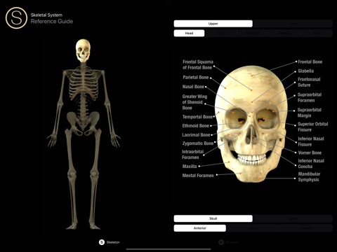 Anatomy Reference Guideのおすすめ画像8