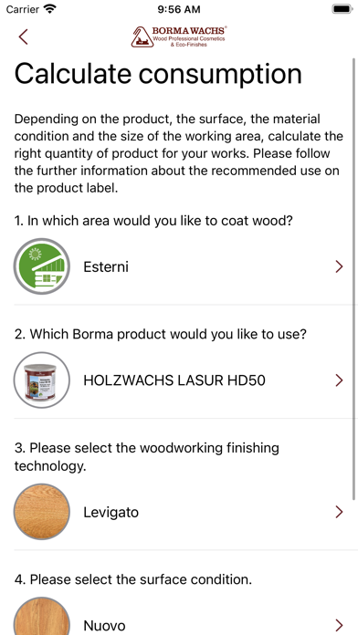 Borma Wachs Configuratore Screenshot
