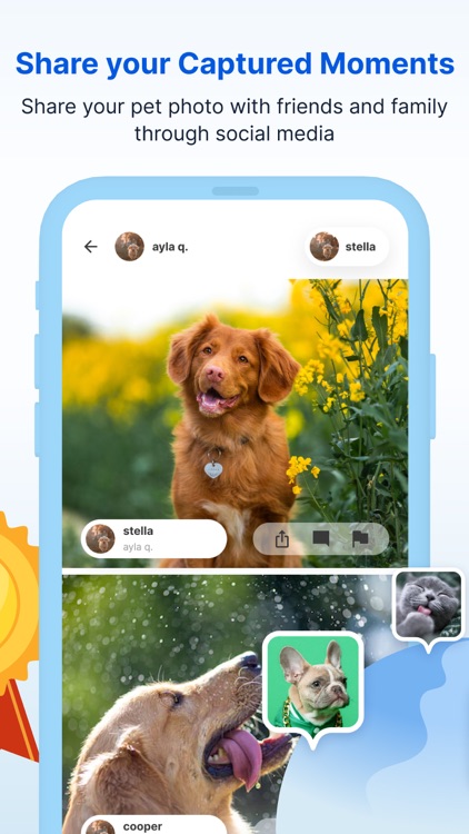 PetRater - Contest of Cuteness screenshot-4