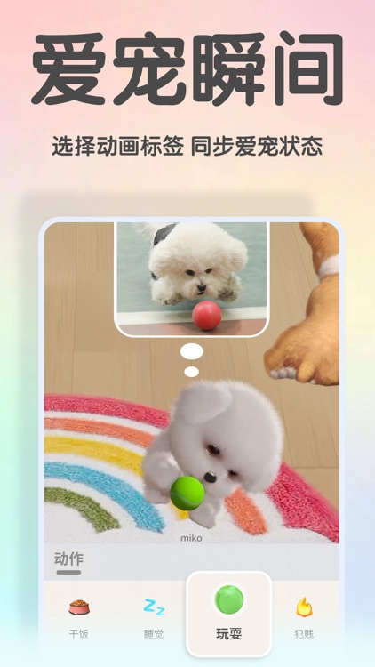 fluffy - 专属宠物主的社交宇宙