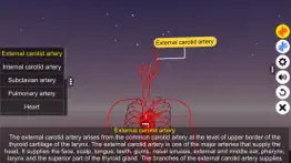 How to cancel & delete circulatory system 2