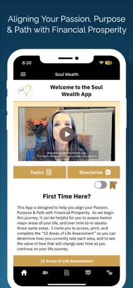 Game screenshot Soul Wealth apk