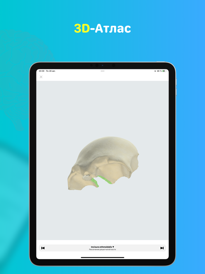Учи Мед Учи Анат