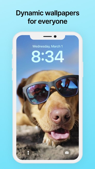 zLiveWP -  Best 4K&HD Screenshot