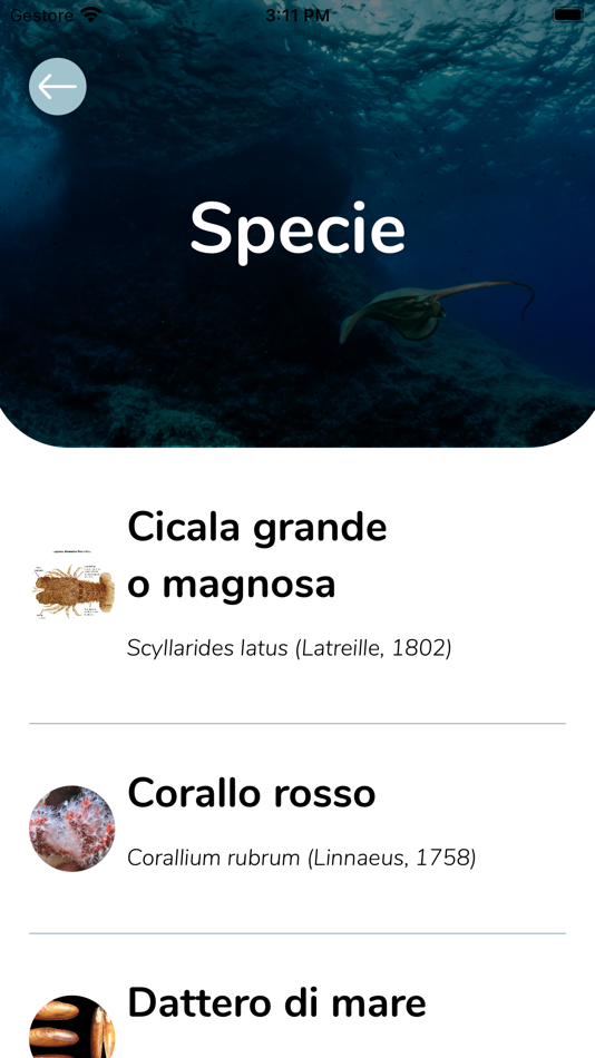 #1. Life Sea.Net (iOS) By: Divulgando Srl