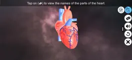 Game screenshot Heart - An incredible pump mod apk