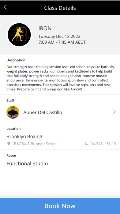 Brooklyn Boxing Screenshot