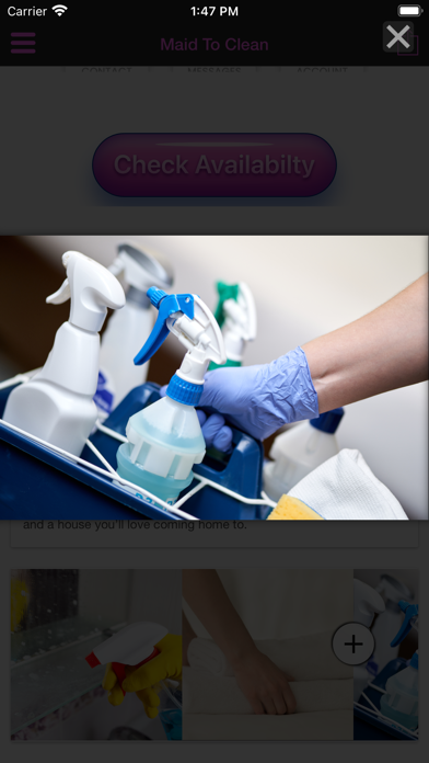 Maid To Clean Screenshot