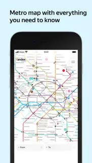 yandex metro problems & solutions and troubleshooting guide - 1