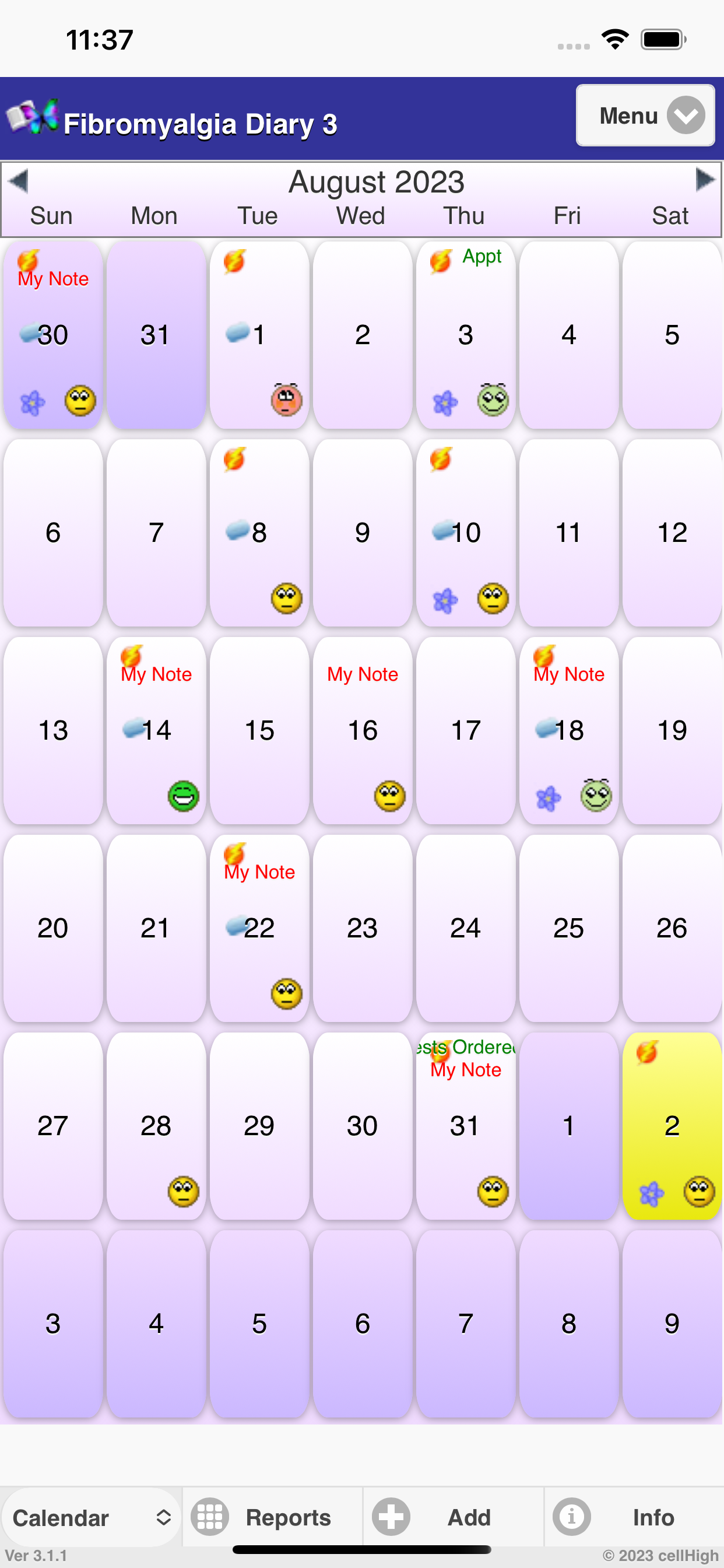 Fibromyalgia Diary 3