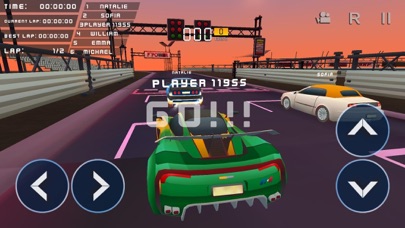 Race Rally Drift Burnout Screenshot