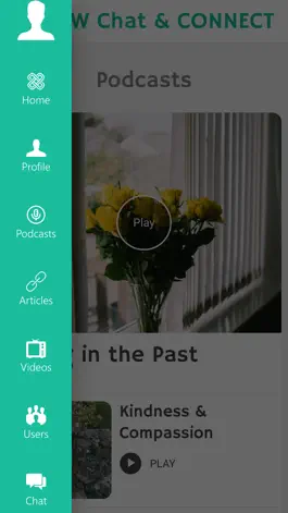 Game screenshot BBW CHAT & CONNECT apk