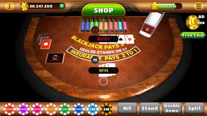 Mega Blackjack - 3D Casino Screenshot