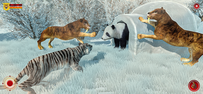 Wild Snow Tiger Safari Animal