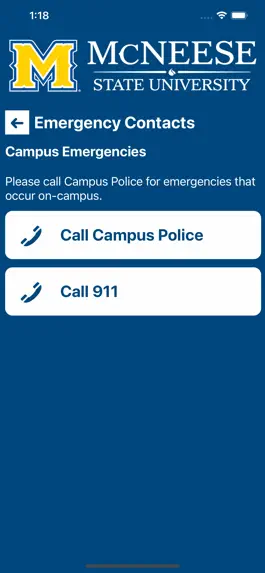 Game screenshot McNeese Safe hack