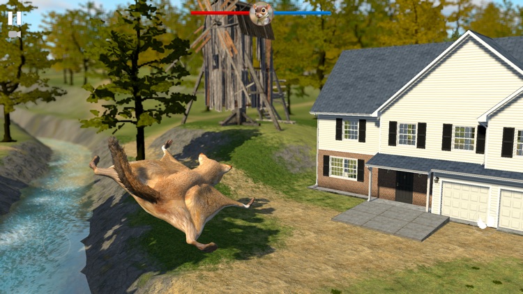 Flying Squirrel Simulator Game