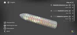 Game screenshot Morflab : Cell & Earthworm apk