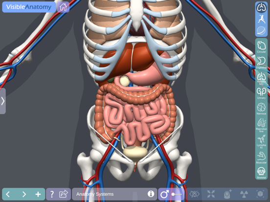 Visible Anatomyのおすすめ画像8