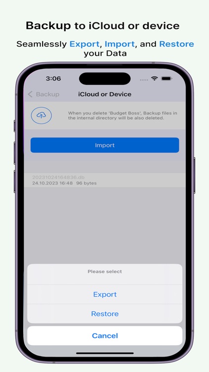 Budget Boss:Money Manager