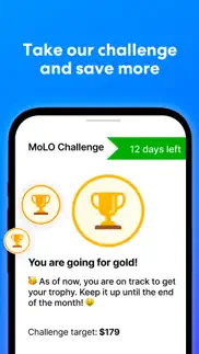 achieve molo - money left over problems & solutions and troubleshooting guide - 3