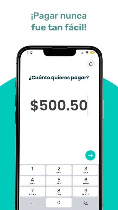 Pagaloop - Paga con tu tarjeta Screenshot