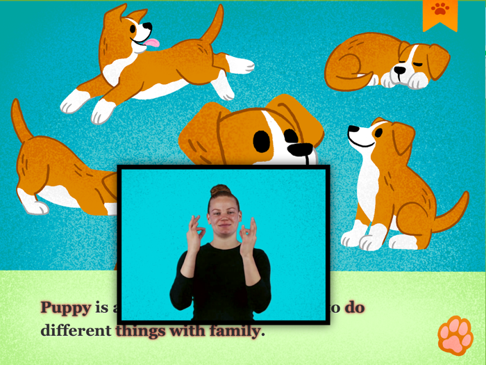 A Day in Puppys Life