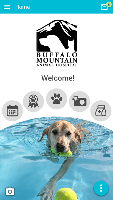 Buffalo Mtn Animal Hospital Screenshot