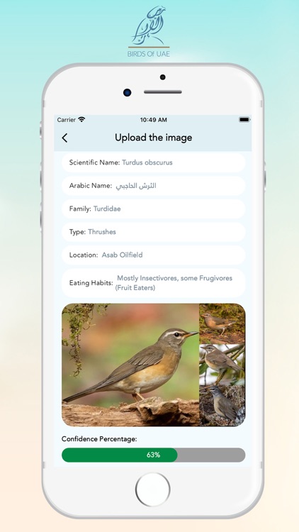 Birds Of UAE screenshot-3