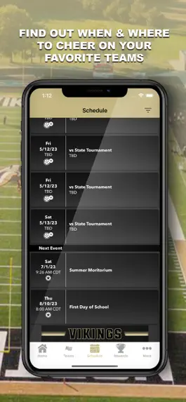 Game screenshot Northwest Vikings hack
