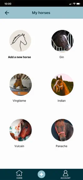 Game screenshot NOVOSTABLE hack