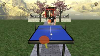 Zen Table Tennisのおすすめ画像2