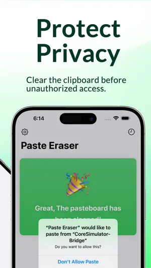 Paste Eraser|Clear pasteboard screenshot 2